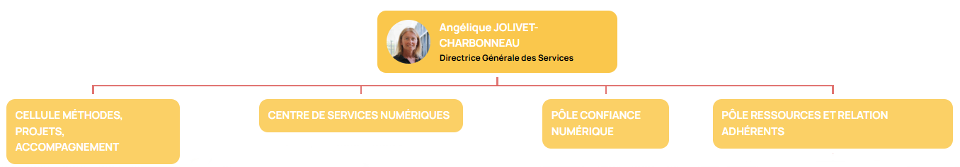 Organigramme